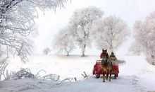 雪，轻轻的飘_600字