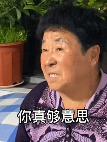 你说我做了（zhu lingxi）_450字