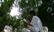 清晨的读书声_300字