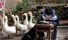 [超新星初中组]童年的小院_750字