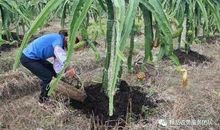 要想肥，先搞鬼