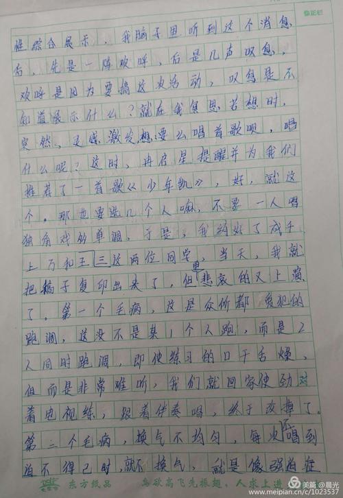 单位成分：_550字周围的艺术