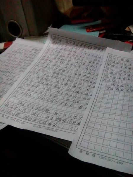 单位成分：一个美丽的工艺_450字