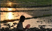 [超新星初中组]外婆家门前的桃树_800字