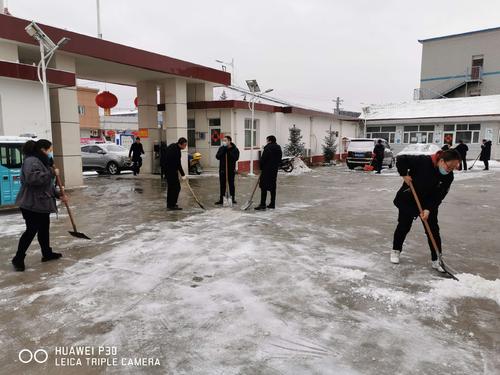 雪和野兽