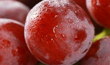 水果—提子_650字