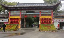 游八一公园_350字