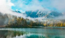 郊外的景色_250字