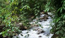 流进心海的小溪_750字