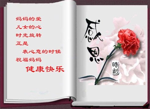 这是我母亲的爱_800字