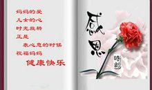 这是我的母爱_800字