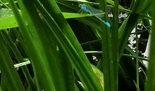 细雨绵绵_1200字