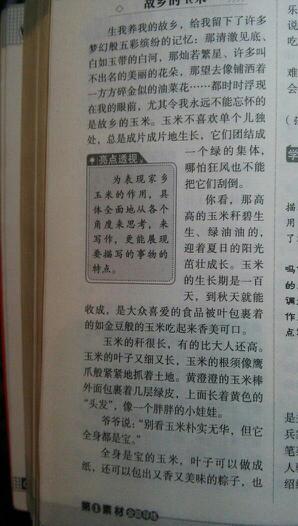 四季家乡_600字