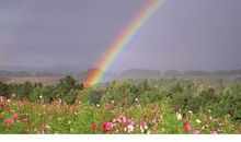 雨过天晴不见彩虹_800字