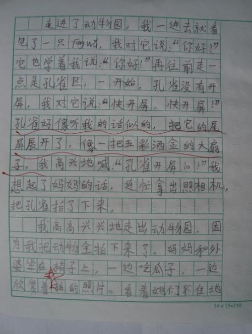 消息：动物园_250字