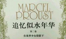 追忆，似水年华_450字