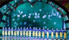 观文艺汇演_550字