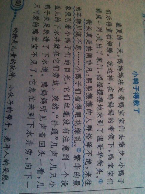 单位成分：小鸭_900字
