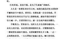 [PK赛]关于奋斗的作文：挫折中塑造崇高的灵魂_1200字