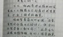 单元作文：鸭妈妈_900字