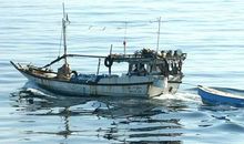 索马里海盗至世界公民的一封信_900字