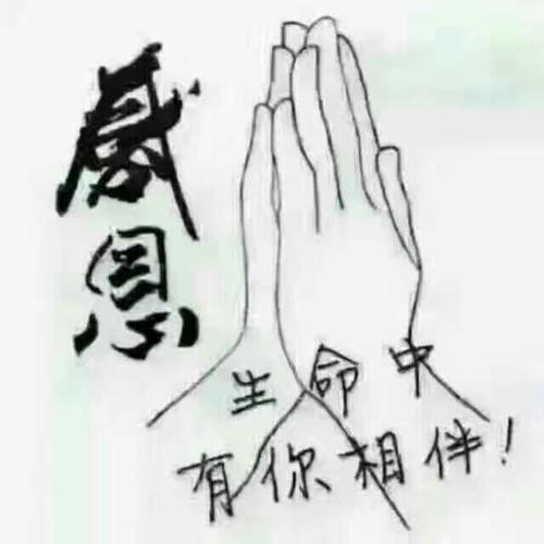 雨在雨中，世界是深情的_400字