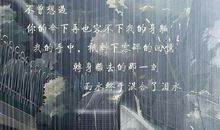 雨夜随想_550字