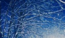 遗失在冬日的温暖_1000字