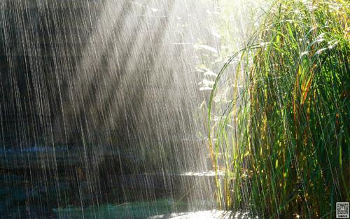 雨上的组成：雨天_1000字