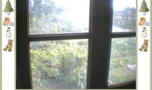 窗外的世界_350字