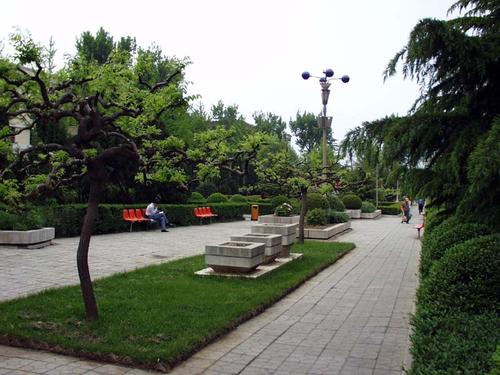 校园 - 美丽的景观池_350字