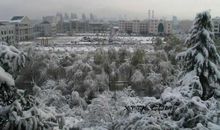 校园的冬天_350字