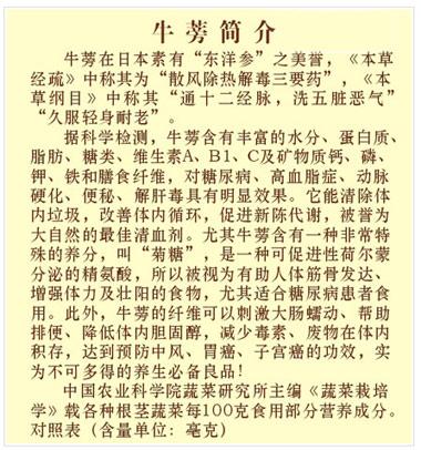 茶爱_1000字