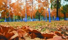 我站在秋天的门前_750字