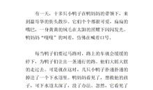 6的奇遇记_400字