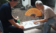 二氧化碳的快乐生活_900字