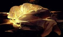 今夜一场梦_1200字