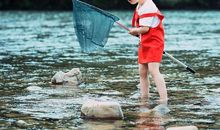 小学生暑假日记：溪里捉鱼_600字