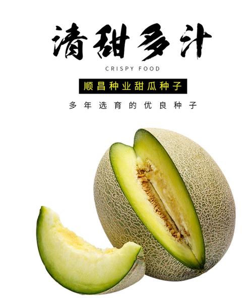 水晶雪_600字