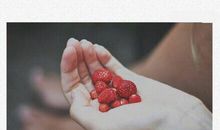 愁感来一点多善_700字