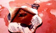 都是暖水袋惹的祸_550字