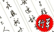 这辈子，我们会幸福_1000字