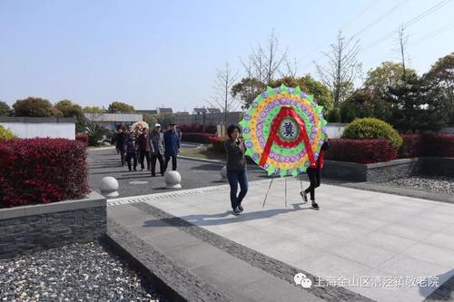 清明扫，记得烈士_550字