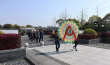 清明扫墓，缅怀先烈_550字