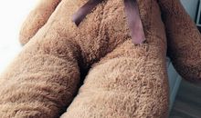 我与我的玩具熊_300字