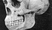 北京人头盖骨的下落