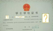 大学需要获取的十大证书