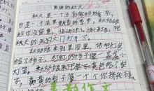 单元作文：爱好艺术_1000字
