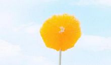 天空与棒棒糖_750字