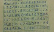 致老师的一封信_450字